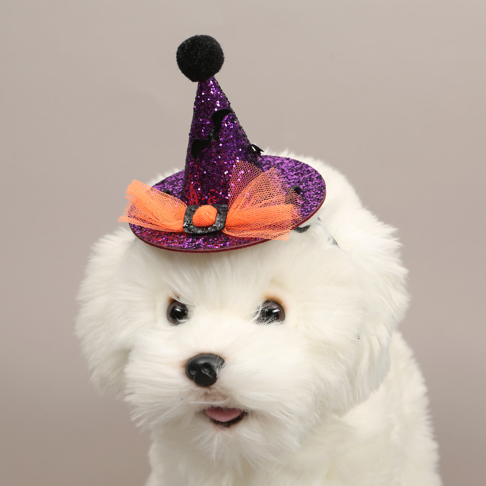 Halloween Hats (Purple)